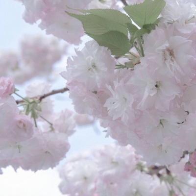 Furry插画元素设计技巧FurryQQ群